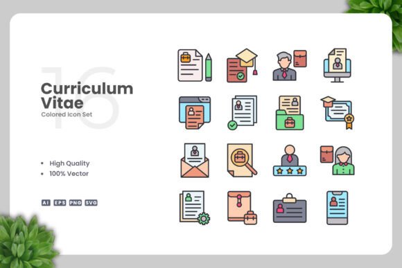 Curriculum Vitae Color Icons